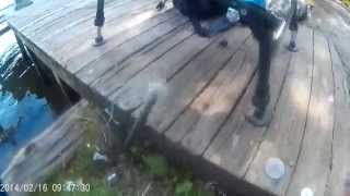 earlswood carp being stolen with fish trap [upl. by Ainaznat]