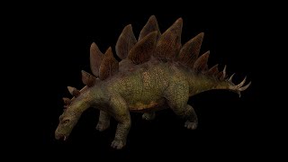 Stegosaurus  Stego Dinosaur ShortVer [upl. by Amsirac780]