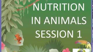 Nutrition in animals s1 for class 7 CBSEWorksheets on nutrition in animals link in description [upl. by Etnor]