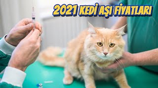 KEDİ AŞI FİYATLARI VE TAKVİMİ 2021 Yavru ve Yetişkin Kedi Aşıları [upl. by Loredana]