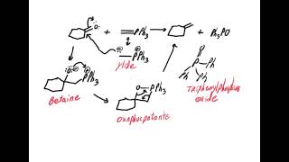 Wittig reaction mechanism [upl. by Manon411]