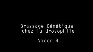 Cours 4 Brassage Génétique [upl. by Ahsiakal]