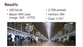 Monitoring and managing metabolic diseases in the transition cow [upl. by Chor834]