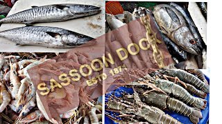 Sassoon dock fish 🐠🐋🐟marketmachi marketmumbai [upl. by Perr]