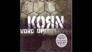 KoRn  Word Up Audio [upl. by Akemak99]