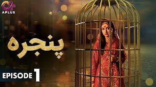 Pakistani Drama  Pinjra  Episode 1  Aplus Gold  Yumna Zaidi Nauman Aijaz  CZ2O [upl. by Siroval]