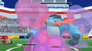 Battling mega swampert [upl. by Illom249]