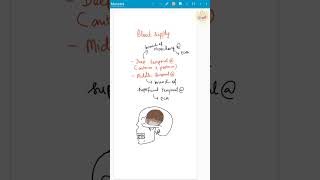 TEMPORALIS  Muscles of mastication  5mindentistry shorts [upl. by Athalie]