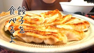 【咀嚼音】餃子を食べるよ【ASMRGyozaMukbang】 [upl. by Nohj]