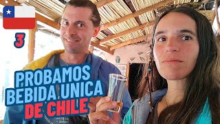 Probamos la BEBIDA CHILENA por DENOMINACIÓN DE ORIGEN 🍷 en un VALLE MÁGICO 🪄 [upl. by Aniv280]