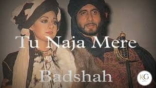 Tu Naja Mere Badshah  Slow  Reverb  Lofi Best Song  Khuda Gawah  KG Boosted [upl. by Wandis271]