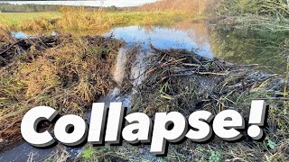 One of The Best Beaver Dam COLLAPSE [upl. by Maura]