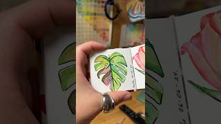 Monstera mini en acuarela shortvideo art acuarela shortpants shortsviral acuarelas [upl. by Davin]