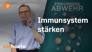 Wie funktioniert unser Immunsystem [upl. by Bronk]