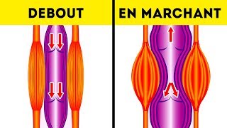 12 Questions existentielles dont tu as toujours voulu connaître la réponse [upl. by Madeline473]