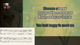 Edelweiss Sound of Music Karaoke with lyrics and music notes [upl. by Milissent379]