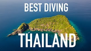 Best Diving in Thailand  Similan Islands [upl. by Fee680]