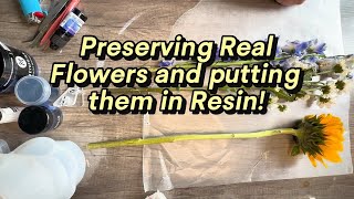 32 How to preserve flowers to put in resin [upl. by Ahsinauq]