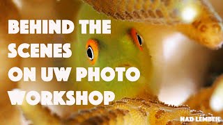 Behind the scenes at Alex Tattersall’s UW Photo Workshop at NAD Lembeh [upl. by Aihsas]