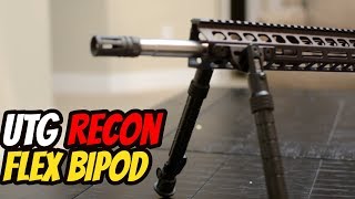 Budget 308 AR 10 UTG Recon Bipod [upl. by Farlie646]