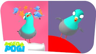 Pigeon Pogi  Super week with Pogi  Pogi Cartoon for Kids [upl. by Gintz]