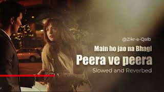 Peera ve Peera  Baaghi Ost  Shuja Haider  Saba Qamar  Slowed and Reverb [upl. by Onek594]