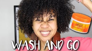 Wash and Go Tutorial Cantu Coconut Curling Cream Review [upl. by Benilda]