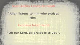 How to Perform Islamic Prayer Salat [upl. by Atoked356]