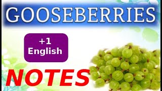 Gooseberries  Notes  Plus One English  Unit 5 Chapter 1 [upl. by Oidiple716]