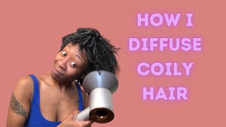 DIFFUSING AND DRYING 4B 4C HAIR VLOGMAS DAY 11 [upl. by Tirma461]