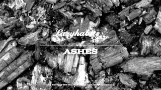 Lazy Habits  Ashes Official Audio [upl. by Ahsyas749]