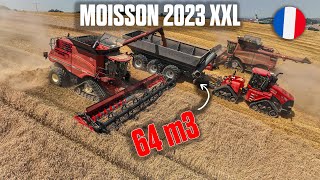 🇫🇷🥵 XXL HARVEST 2023 in FRANCE  TRANSBORDEUR DE 64m3  🤯 [upl. by Odelle]