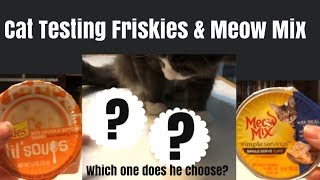 Cat Taste Testing Friskies lil Soups VS Meow Mix Simple Servings  Pet Mukbang [upl. by Ayikan]