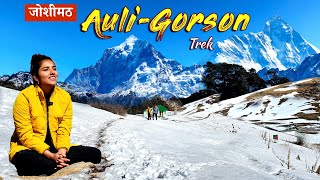 Auli Uttarakhand  Auli Tourist Places  Joshimath  Auli Gorson Bugyal Trek  Blue Poppy Resort [upl. by Kermie426]