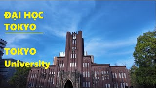 4K Japan Walk Tokyo University  4K Đại học Tokyo Đại học lớn nhất và tốt nhất ở Nhật bản [upl. by Nixie889]