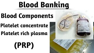 Blood Bank Blood Components Preparation of Platelets Rich Plasma PRP platelets concentrate [upl. by Kcirddet]