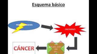 BIOLOGIA MC  Cáncer visión molecular y clínica [upl. by Aciruam]