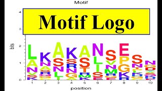 RNA Motif  Motif logo  Protein conserved region signature [upl. by Kristy]