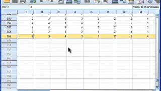 Factor Analysis  SPSS part 1 [upl. by Nolur]