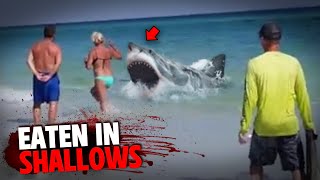 These 3 Swimmers Are EATEN ALIVE By Shark In SHALLOW Water [upl. by Illa]