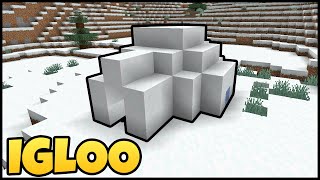 Where To Find IGLOOS In MINECRAFT [upl. by Halullat834]