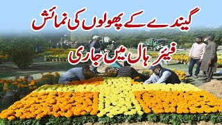 4th Marigold Festival Karachi 2024  Frere Hall Karachi  Flower Exhibition [upl. by Silverstein879]