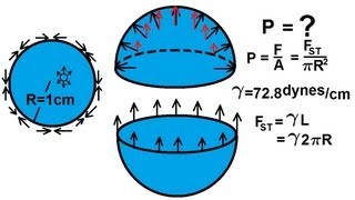 Physics 331 Surface Tension 8 of 12 Pressure in a Drop of Water [upl. by Grimbly]