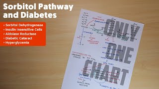 Sorbitol Pathway and Diabetic Cataract  2  Biochemistry [upl. by Nomar]