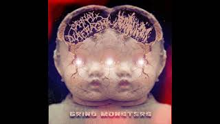 Split Carnal DiafragmaFecalizer  Grind Monsters 2015 Full Album [upl. by Carrillo]