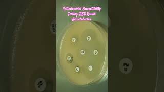 Antibiotics Sensitivity Testing AST of Acinetobacter baumannii complex microbiology microbes [upl. by Sida]