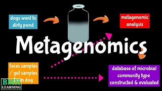 Metagenome  Metagenomics  Metagenomics Workflow [upl. by Roland468]