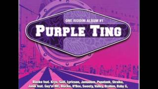 Purple Ting Riddim Instrumental Version [upl. by Cassidy]