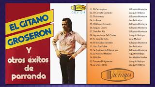 El Gitano Groserón y otros éxitos de Parranda Álbum Completo [upl. by Nuawaj]