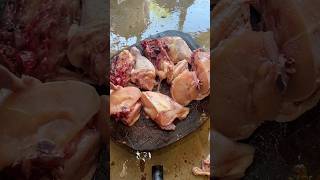 Skill potong daging ayam jadi 8 bagian cuttingskills chicken ayamsegar short shorts [upl. by Ahsirtak277]